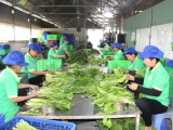 Nỗ lực làm giàu, sẻ chia cùng phát triển