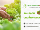 Nơi cung cấp rau sạch chuẩn VietGAP tại Long An