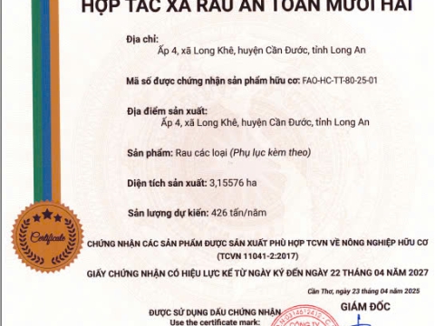 GIẤY CHỨNG NHẬN 2